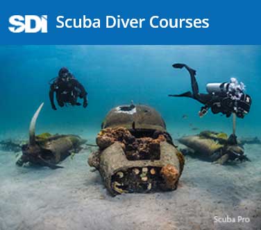 SDI Scuba Diver Courses